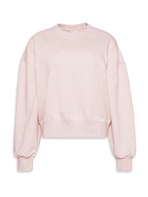 Calvin Klein Sweatshirt  lysegrå