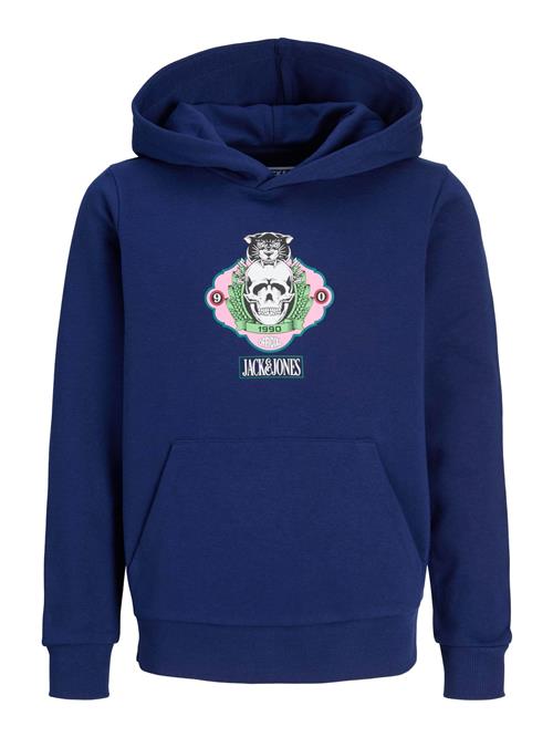 Jack & Jones Junior Sweatshirt  mørkeblå / blandingsfarvet