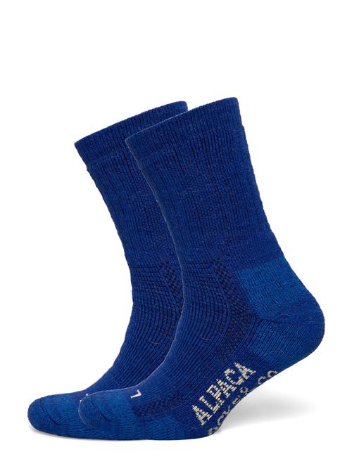 Alpacasocks&Co | Alpacasocks 2-Pack | 42-45