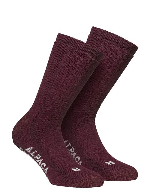 Alpacasocks&Co | Alpacasocks 2-Pack | 39-42