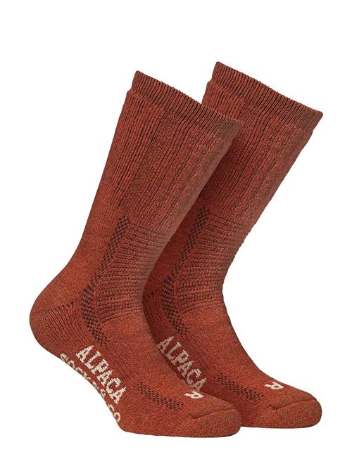 Alpacasocks&Co | Alpacasocks 2-Pack | 45-48
