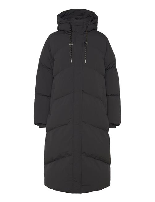 BOSS | C_Paretto1 | 40