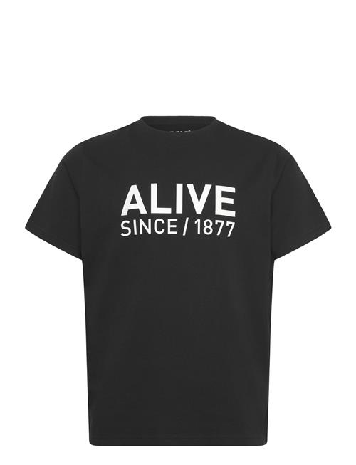 Helly Hansen | Core Graphic T 2.0 | L