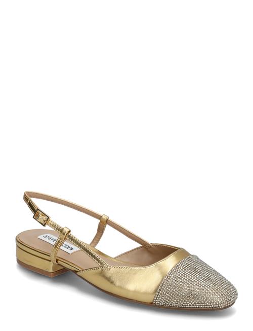 Steve Madden | Belinda-R Ballerina | 40