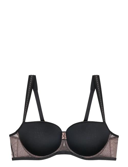 Triumph | Palina Cosmic Heartbeat Whp | D x 90