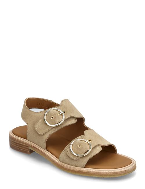 ANGULUS | Sandals - Flat  - Open Toe - Op | 40
