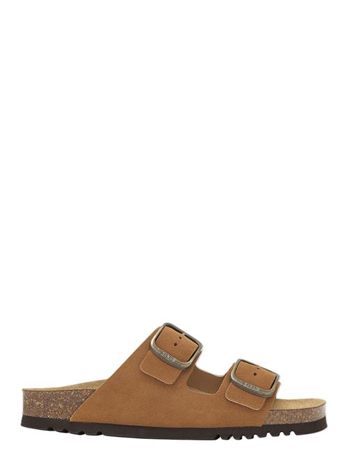 Scholl | Sl Josephine Suede Cognac | 38