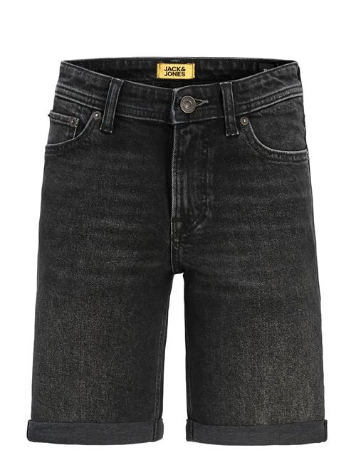Jack & Jones | Jjirick Jjoriginal Shorts Am 360 Sn Jnr | 176