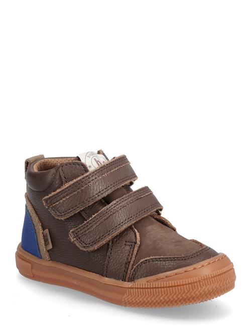 Bisgaard | Bisgaard Cuba Tex | 30