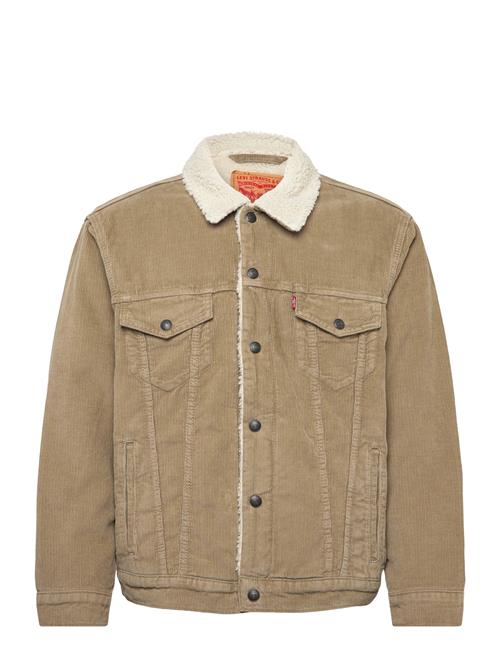 Levi's® | Relaxed Fit Sherpa Trkr Timber | M
