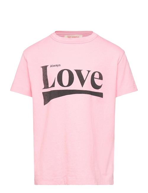 THE ANIMALS OBSERVATORY | Rooster Kid T-Shirt Pink | 14 Y