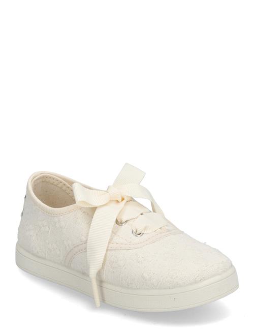 Kavat | Derome | 27/16.8CM