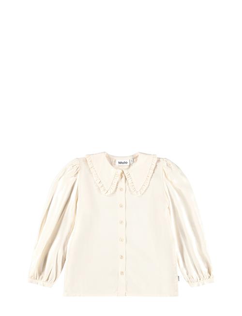 Molo | Robbin | 134/140