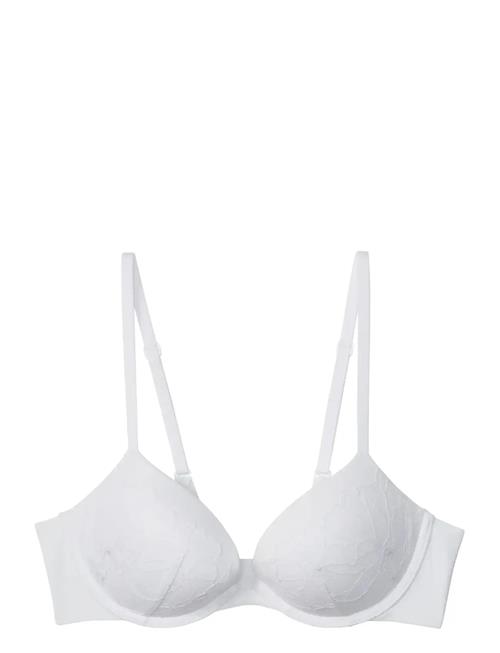 Calvin Klein | Push Up Plunge | C x 65