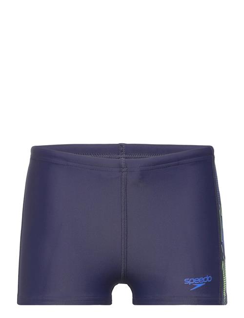 Speedo | Placement Aquashort | 140