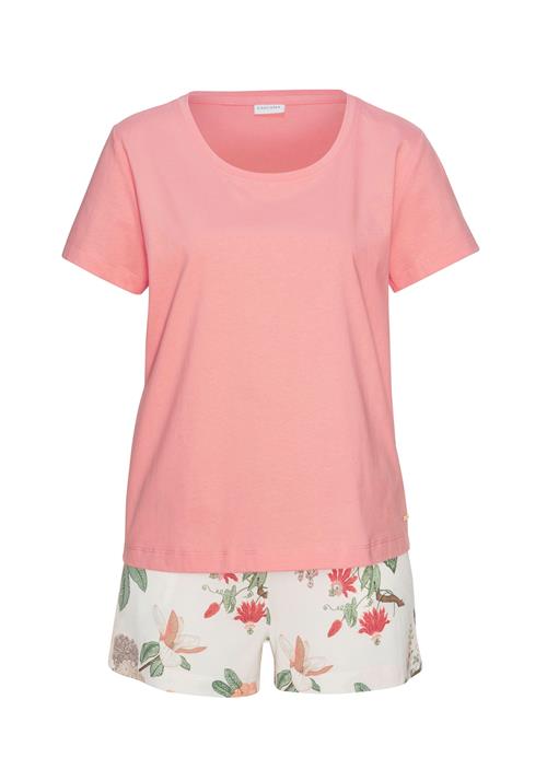 Se LASCANA Shorty  blandingsfarvet hos About You