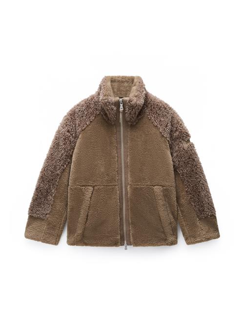 NAPAPIJRI Overgangsjakke 'FALKNER'  mørkebeige