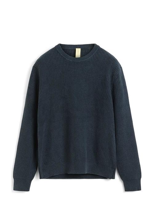 Brixtol Textiles | Dorper | L