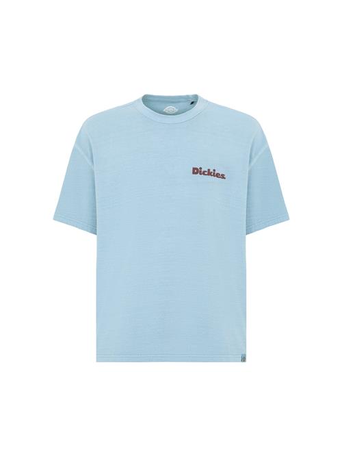 DICKIES Bluser & t-shirts 'Slayden'  lyseblå / brun