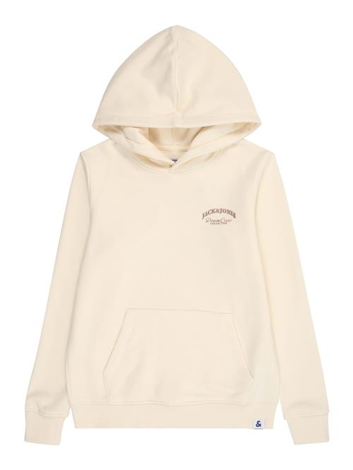 Jack & Jones Junior Sweatshirt 'JJEBrandes'  rustbrun / uldhvid