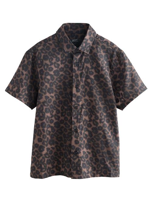 Next Skjorte  brun / mørkebrun