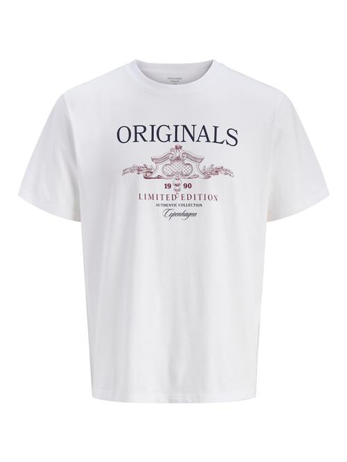 JACK & JONES Bluser & t-shirts  navy / mørkerød / hvid