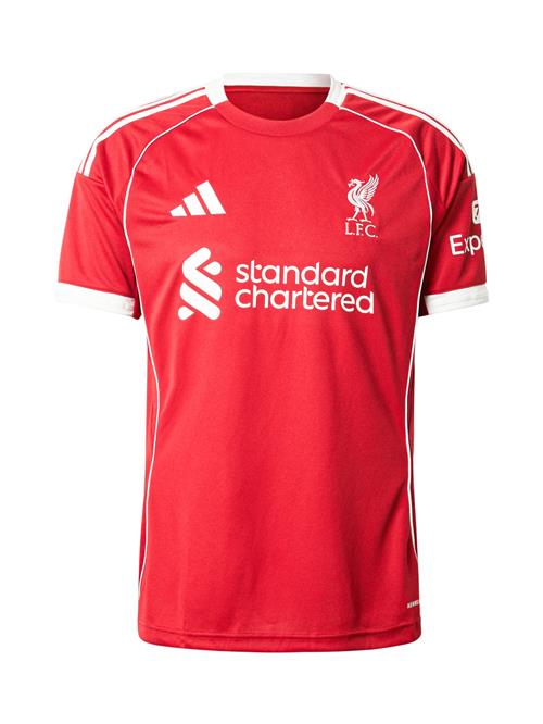 ADIDAS PERFORMANCE Fodboldtrøje 'Liverpool FC 25/26'  rød / hvid