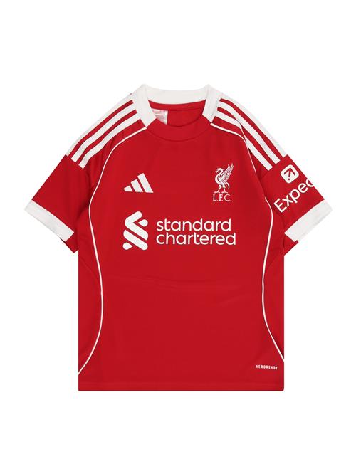 ADIDAS PERFORMANCE Funktionsskjorte 'FC Liverpool 25-26 Heim'  rød / hvid