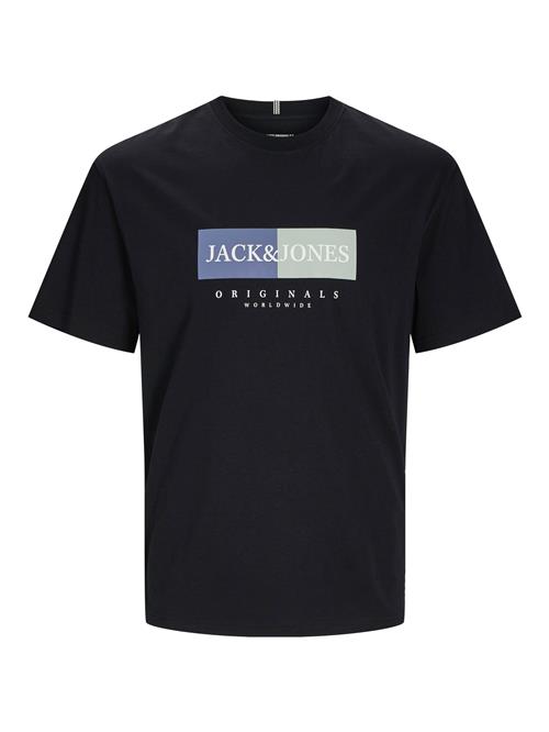 JACK & JONES Bluser & t-shirts 'JWHFREDERIKSBERG'  navy / lysegrå / sort / hvid