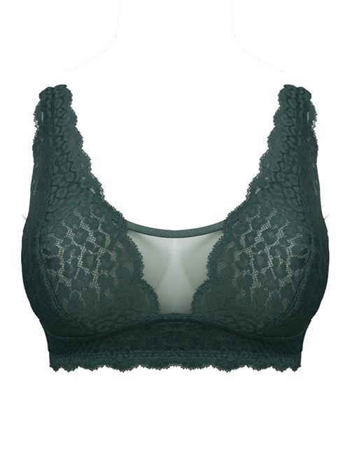 SugarShape BH 'Elva'  gran