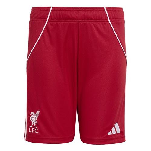 ADIDAS PERFORMANCE Sportsbukser 'FC Liverpool FC 25/26'  rød / hvid