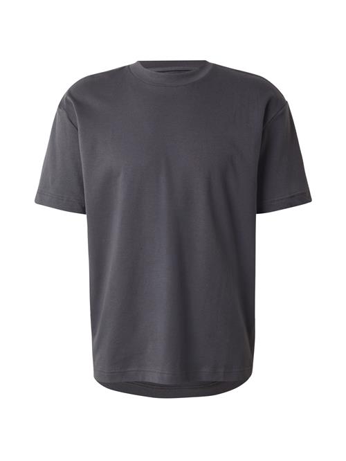 HOLLISTER Bluser & t-shirts  mørkegrå