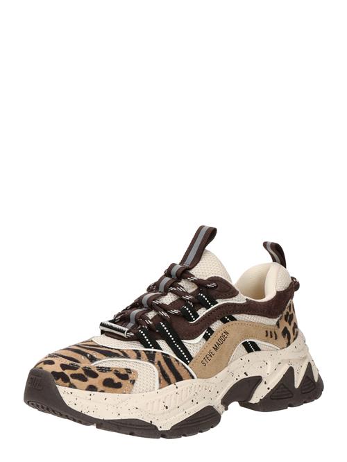 STEVE MADDEN Sneaker low 'Animates-LE'  umbra / lysebrun / sort
