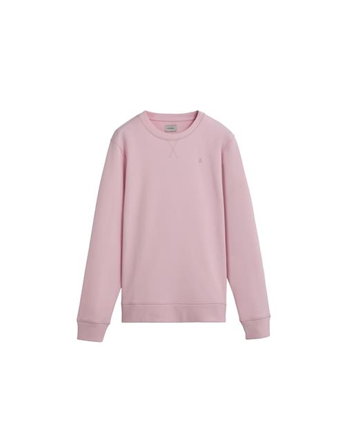 Scalpers Sweatshirt ' '  pink / lyserød