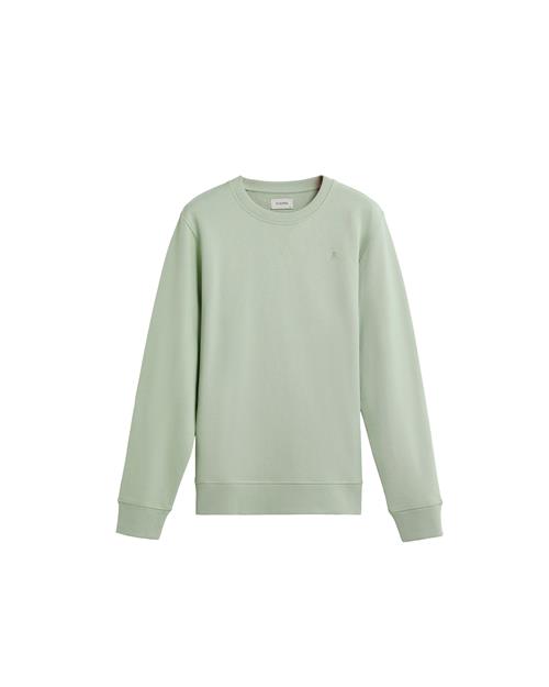 Scalpers Sweatshirt ' '  grøn / lysegrøn
