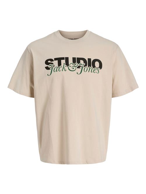 JACK & JONES Bluser & t-shirts 'JJYuki'  beige / grøn / sort