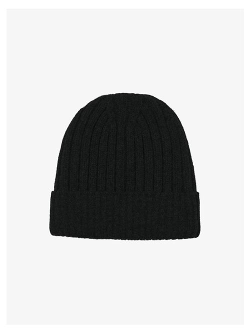 Gai+Lisva Hue 'Celina'  sort