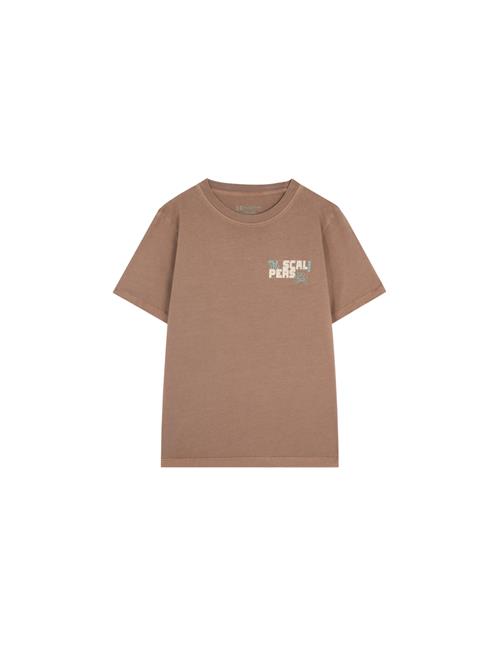 Scalpers Shirts  beige / aqua / brun