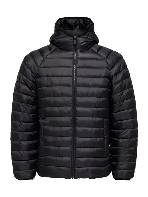 SELECTED Overgangsjakke 'SLHZJONES'  sort