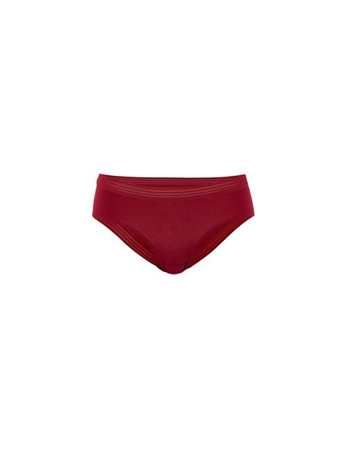 Dagi Panty  bordeaux