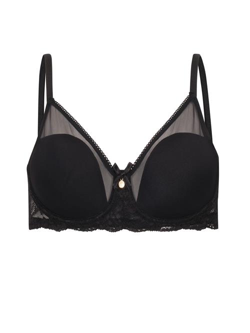 Dagi Minimizer  sort