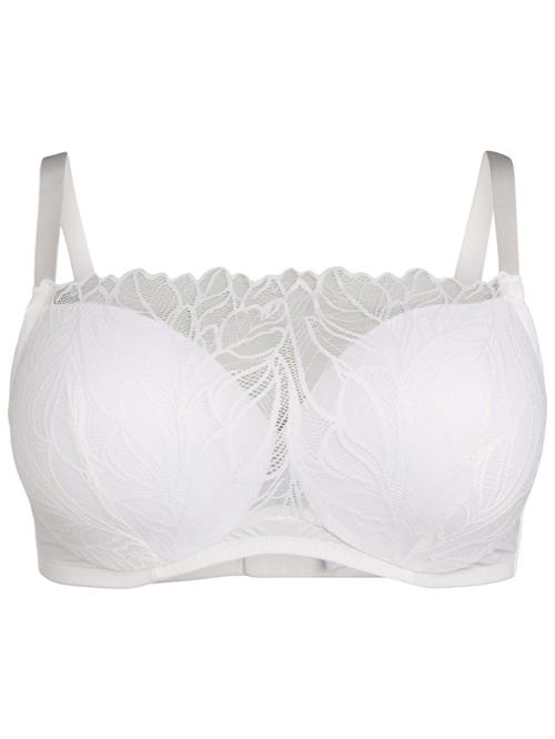 Devoted by Zizzi BH 'Layla'  hvid