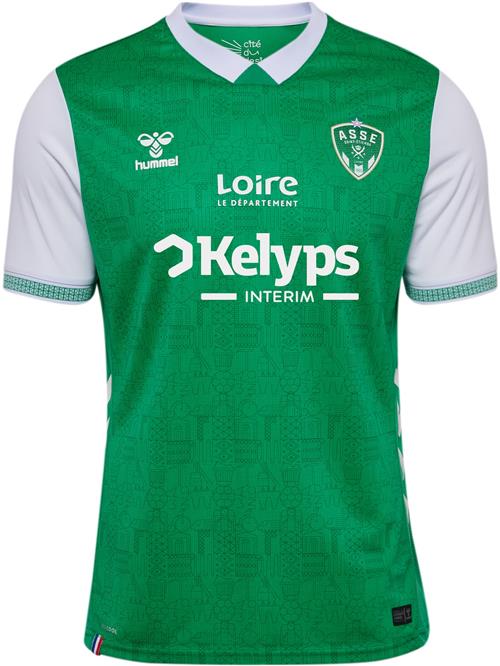 Hummel Fodboldtrøje 'AS Saint-Étienne'  græsgrøn / hvid