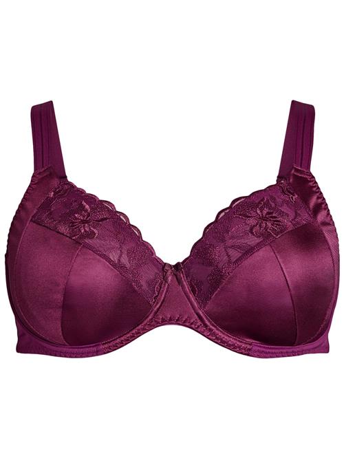 Devoted by Zizzi BH 'Lbeth'  bær