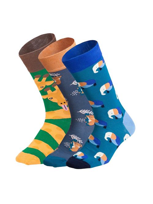 DillySocks Sokker 'Wild Steps'  blå / brun / gul