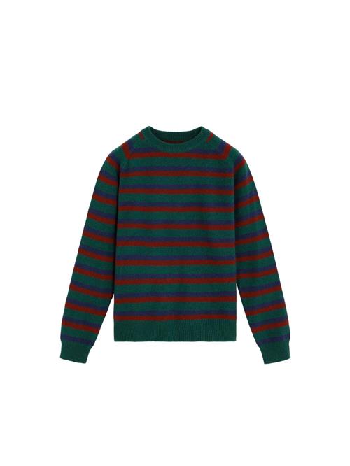 Scalpers Pullover 'Arnol'  blå / mørkegrøn / rød