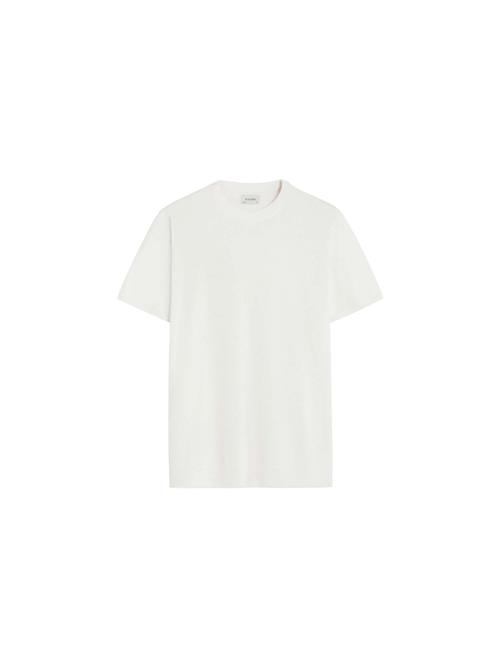 Scalpers Bluser & t-shirts 'Scpremium'  hvid