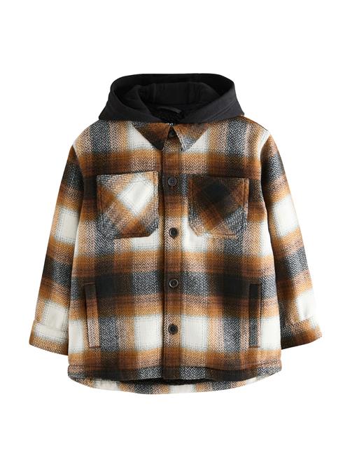 Next Overgangsjakke  ecru / brun / sort