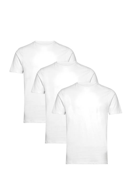 Bruun & Stengade | Bs Antiqua Regular Fit T-Shirt | L