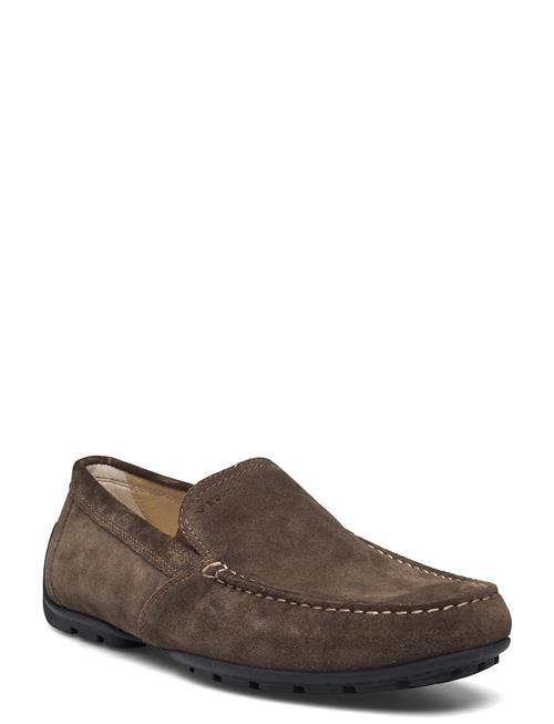 GEOX | U Moner V | 42
